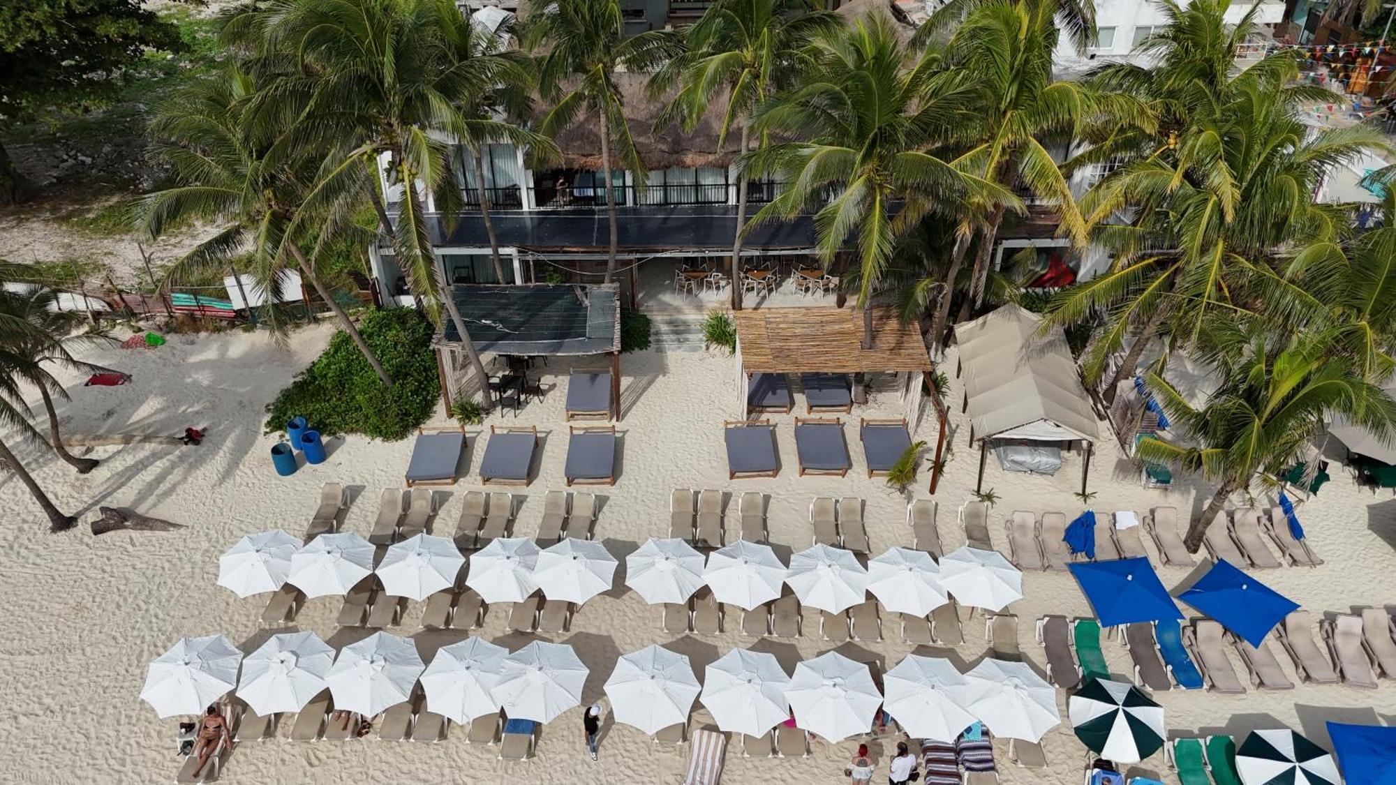 Areia Playa Del Carmen - Beach Front Hotel Eksteriør billede