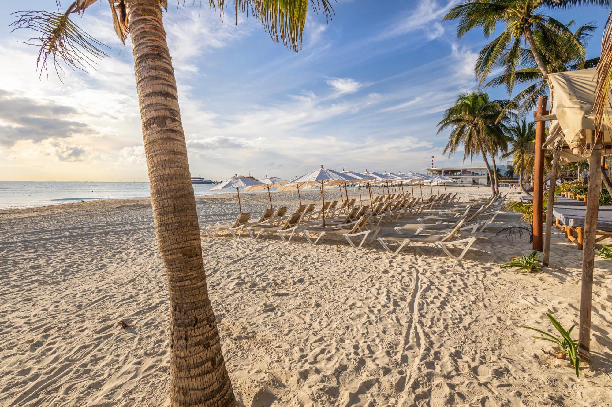 Areia Playa Del Carmen - Beach Front Hotel Eksteriør billede