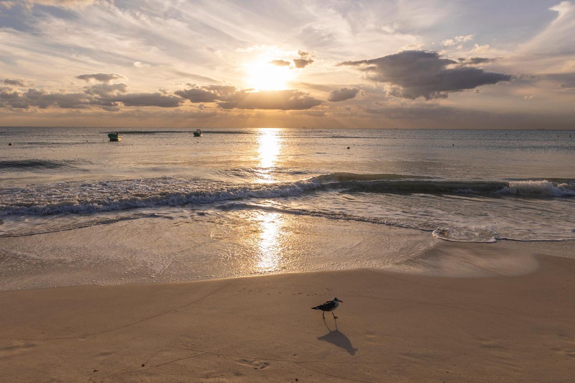Areia Playa Del Carmen - Beach Front Hotel Eksteriør billede